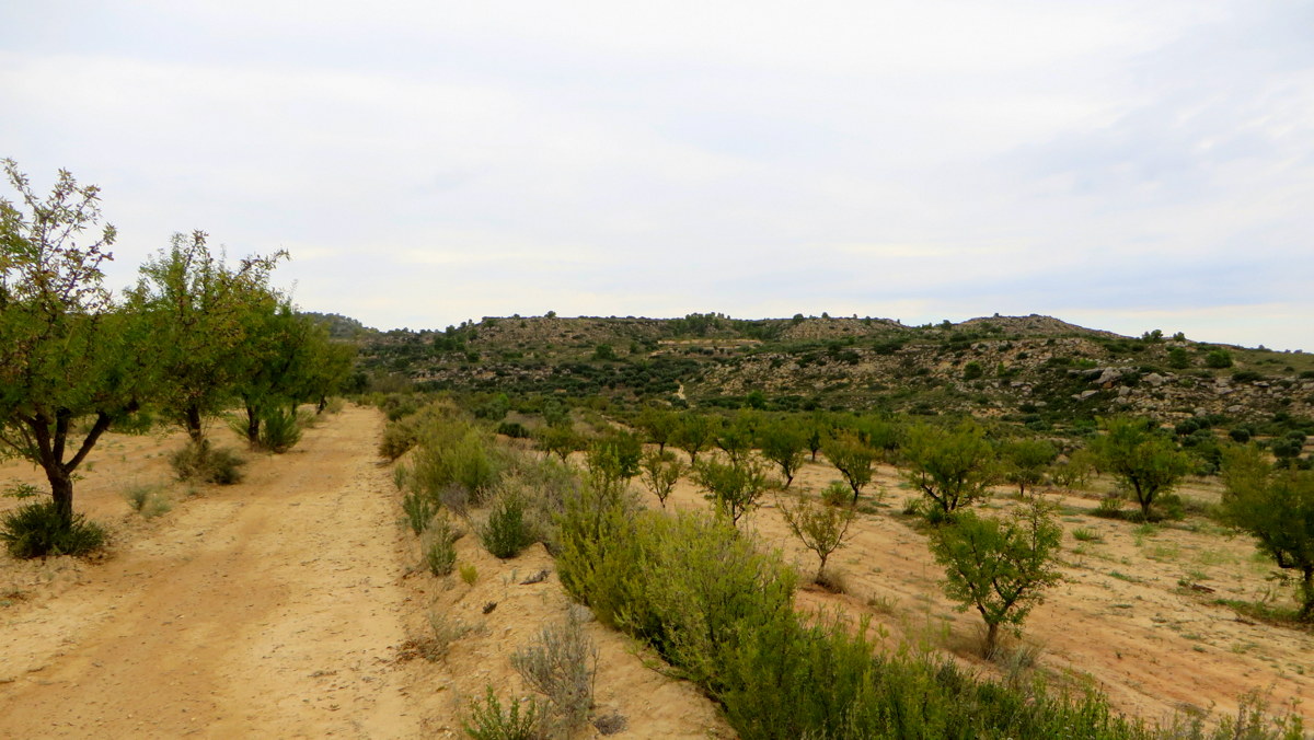 Instalacion de puertas a domicilio tv cable